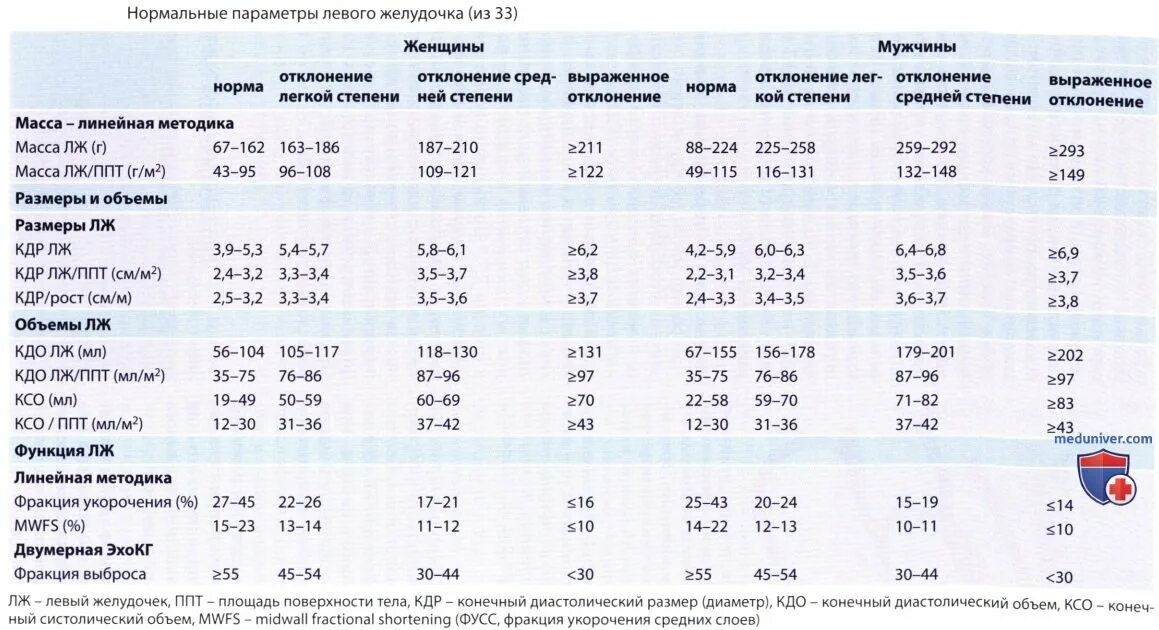 Толщина стенок желудочков сердца в норме. Толщина мышцы левого желудочка в норме. Масса миокарда лж УЗИ норма. Толщина стенки миокарда левого желудочка в норме.