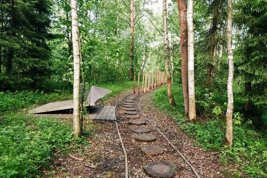 Метро тропа. Парк Лосиный остров Босоногая тропа. Лосиный остров Дендрарий Босоногая тропа. Лосиный остров Москва Дендрарий тропа Босоногая. Тропа босиком в Лосином острове.