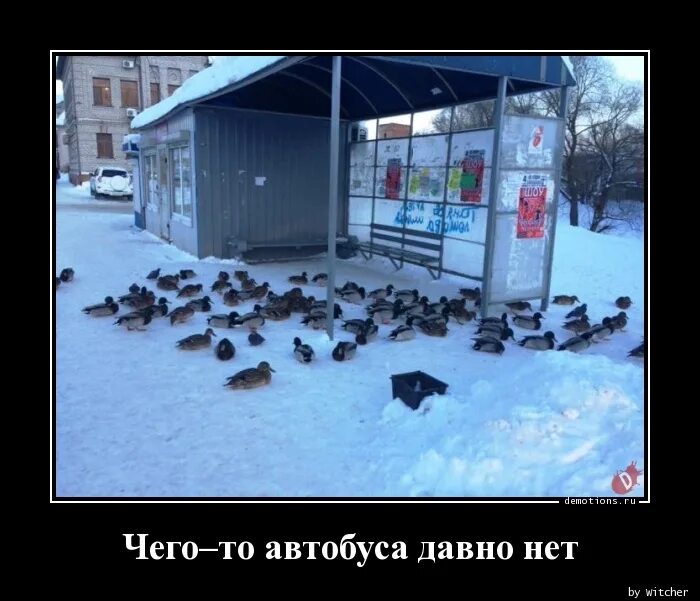Их нет давно