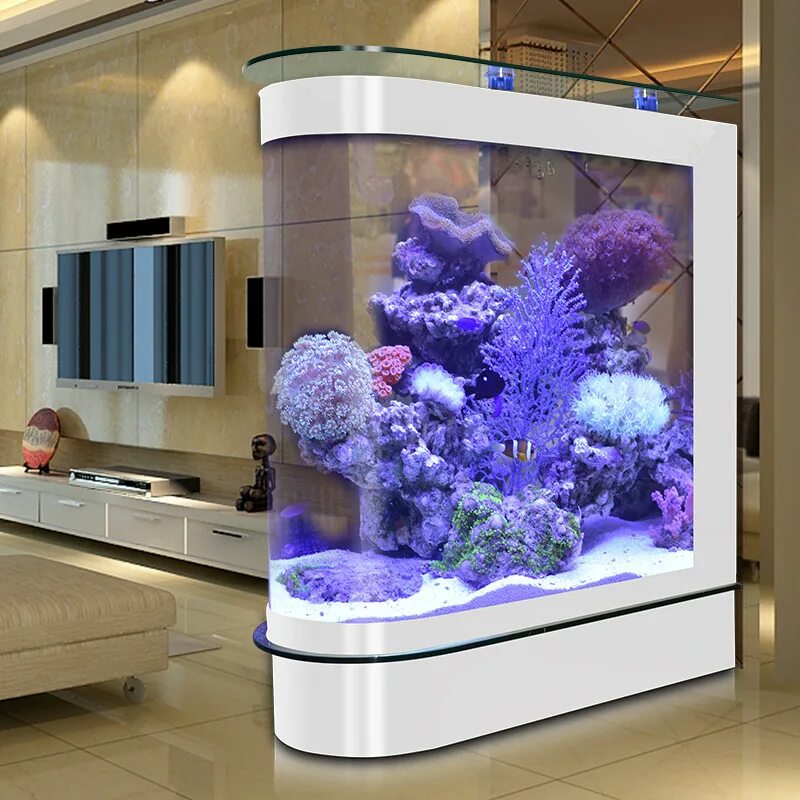 Снится аквариум с рыбками женщине. Встроенный аквариум. Встраиваемый аквариум. Аквариум от пола до потолка. Прихожая со встроенным аквариумом.