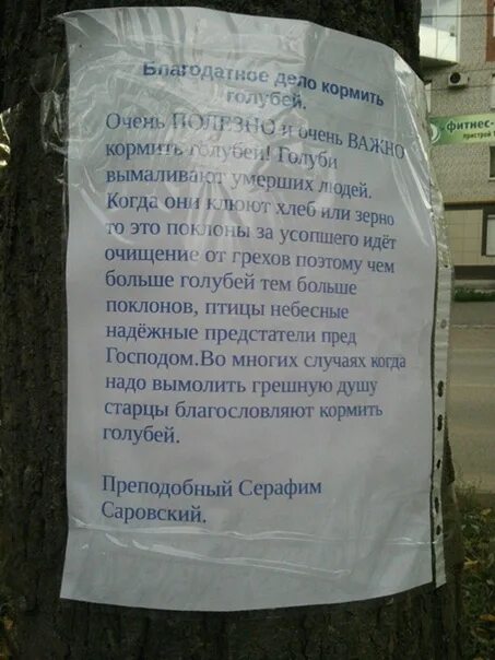 Штраф за кормление животных. Не кормите голубей объявление. объявление о запрете кормления голубей. штраф за кормление голубей. объявление соседям чтобы не кормили голубей.