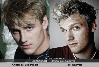 Похожие на воробьева