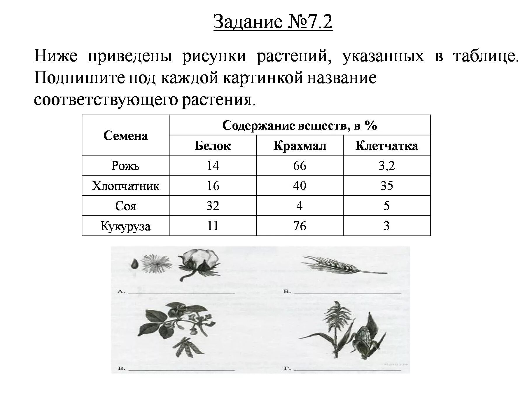 Кактусовый сыч впр 5 класс. 5 Заданий ВПР биология 7 класс. Задания для ВПР по биологии 5 класс с ответами. ВПР биология 5 класс 1.3 ответы. Задания для подготовке к ВПР по биологии в 5 классе.