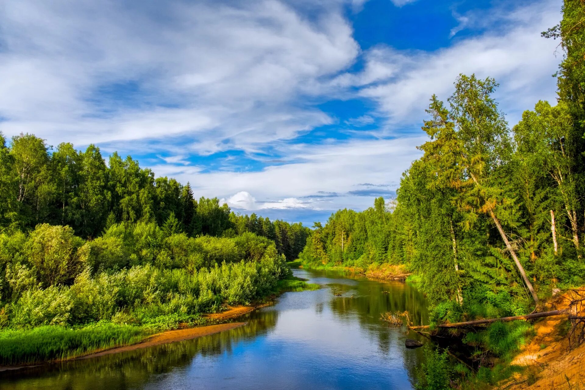 Реки России. Речка в лесу Россия. Речной пейзаж. Лесная река.