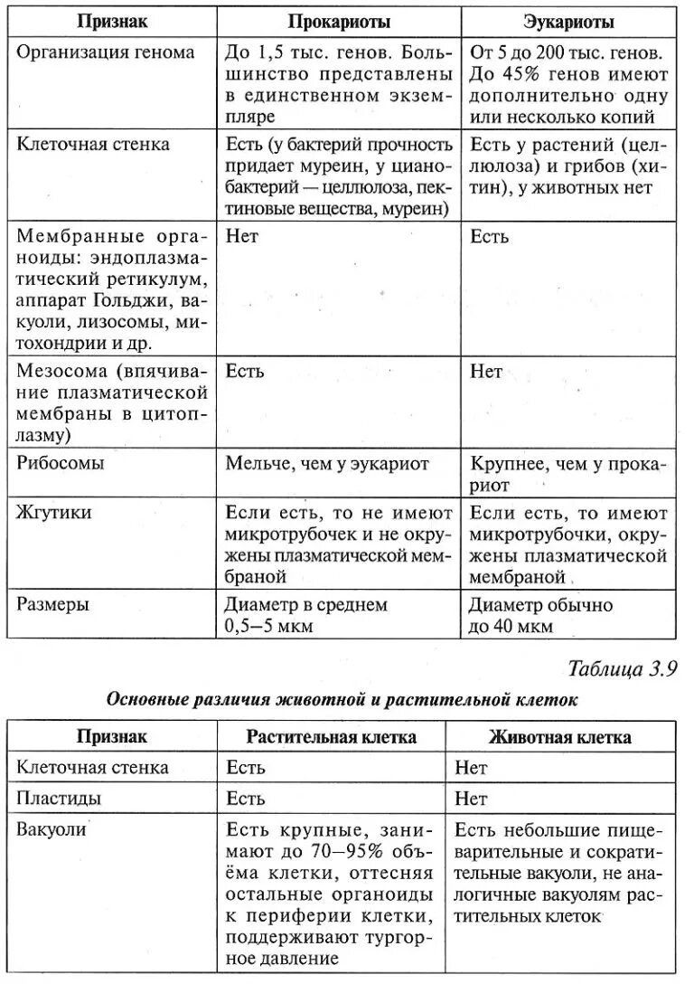 Организация прокариотических клеток. Строение клетки эукариот таблица. Эукариотическая клетка таблица. Эукариотическая клетка таблица строение и функции. Строение клетки эукариот таблица строение и функции.