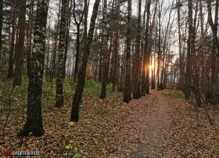 Салтыковский балашиха