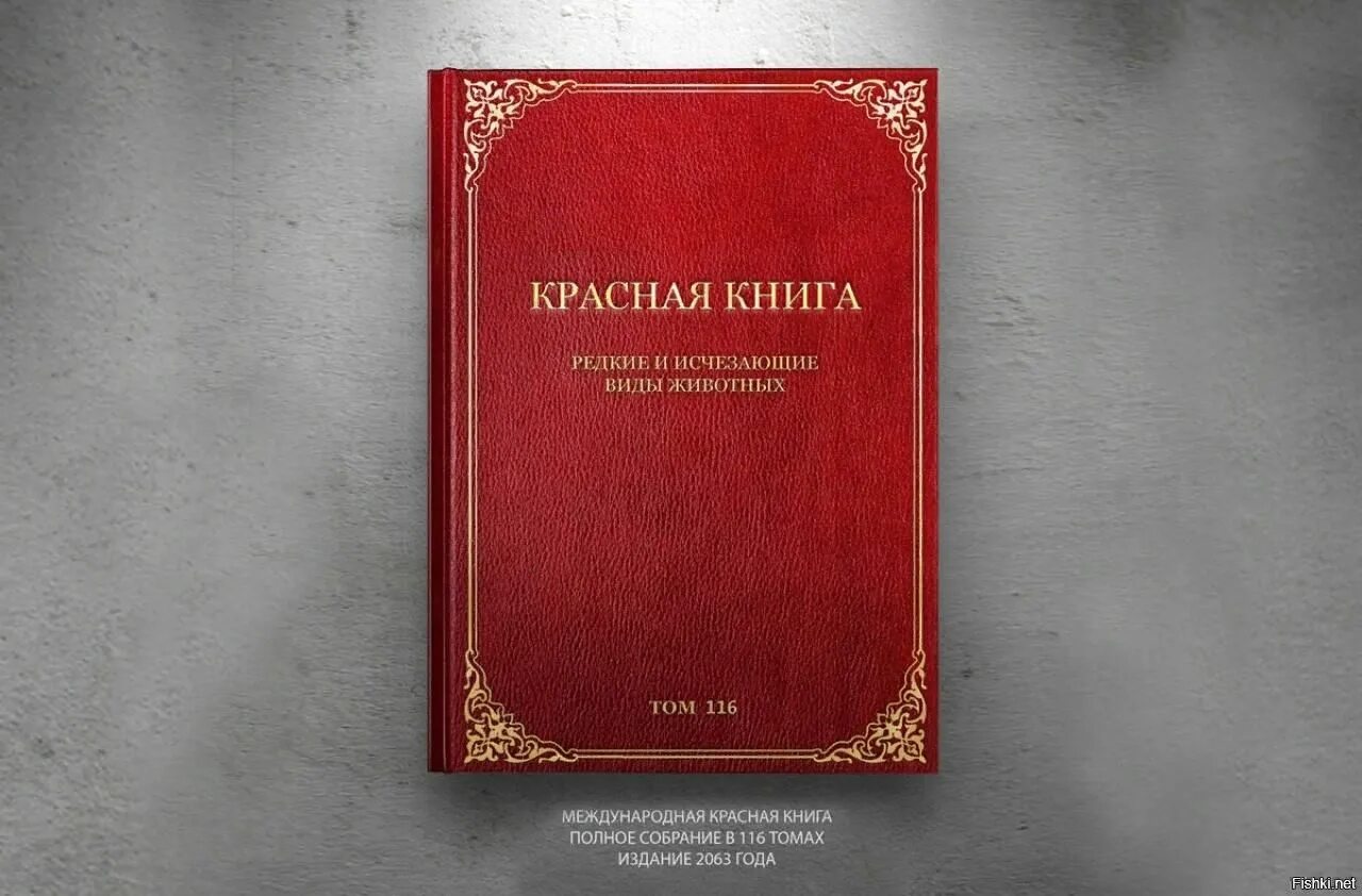 Красная книга 2023 год