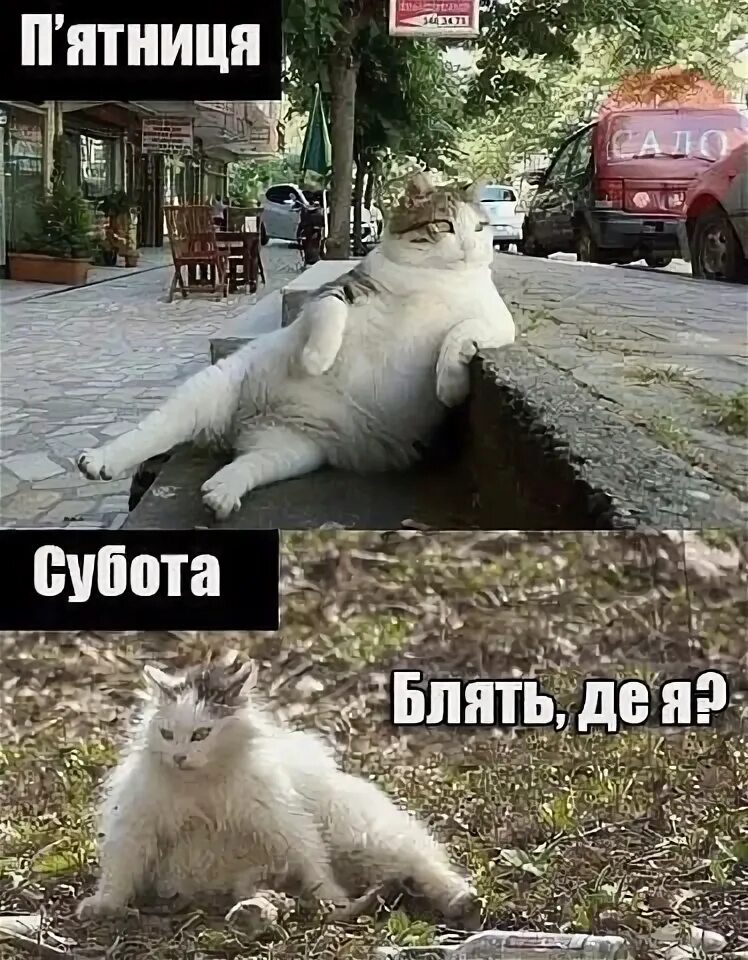 Мемы про пятницу смешные Пин на доске Funny! Смешной юмор, Смешно, Юмор