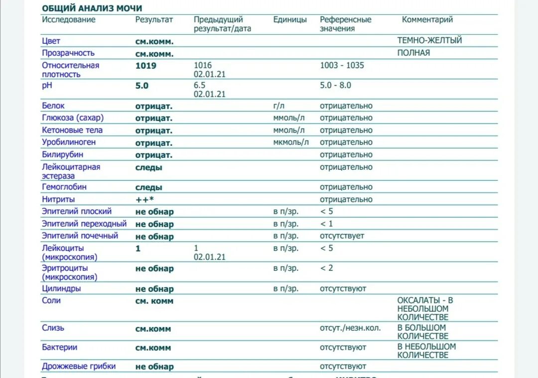 Результаты анализов мочи белок. Анализ мочи кровь 0-1. Исследование мочи ОАМ. Общий анализ мочи схема. Общий анализ мочи Результаты.