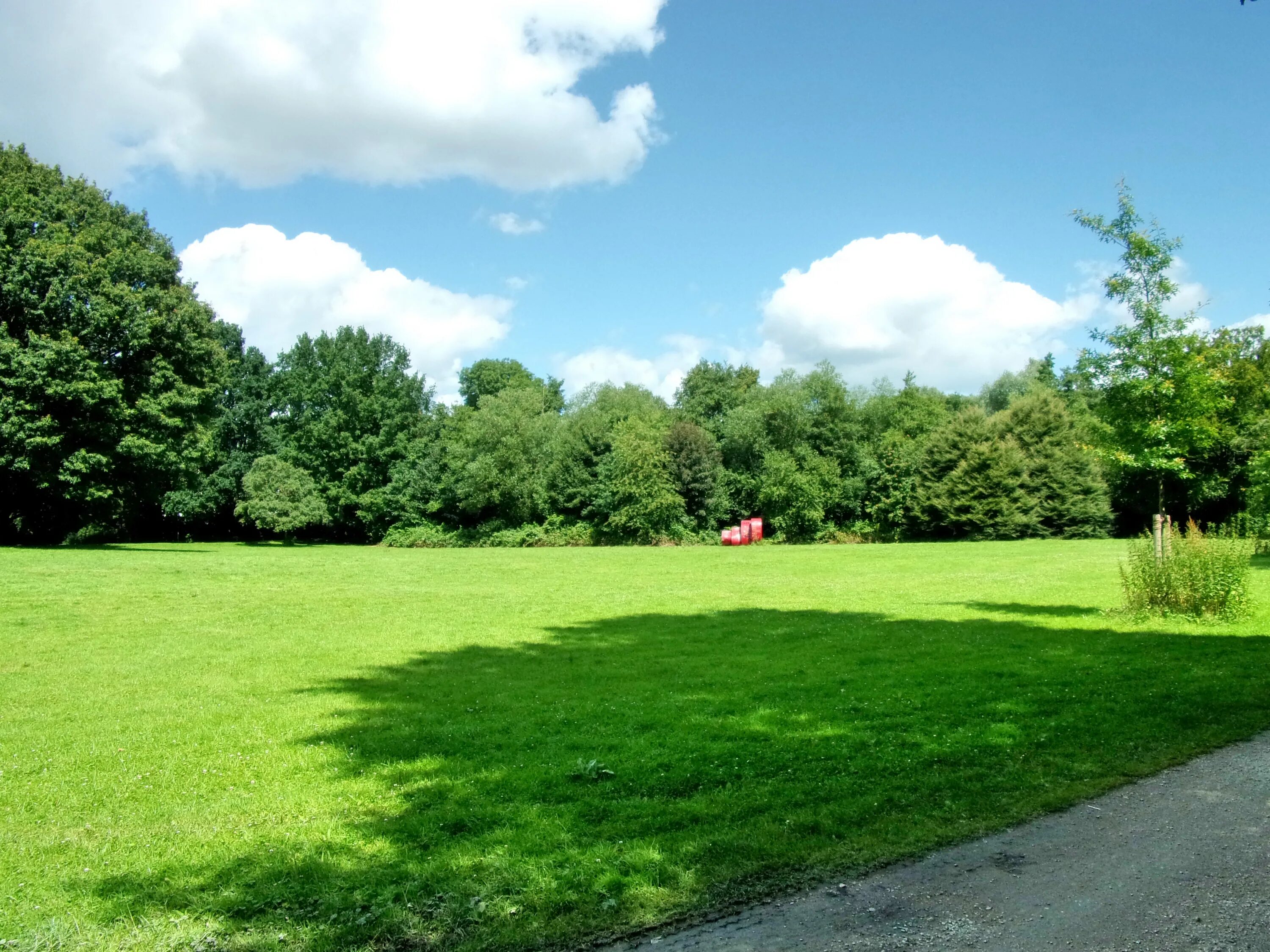Der wiese. Wiese ковш.