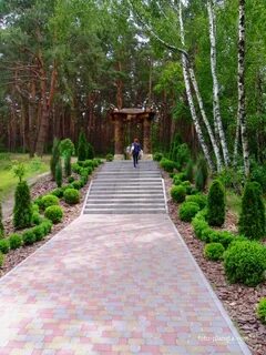 Приморский парк сосновый бор