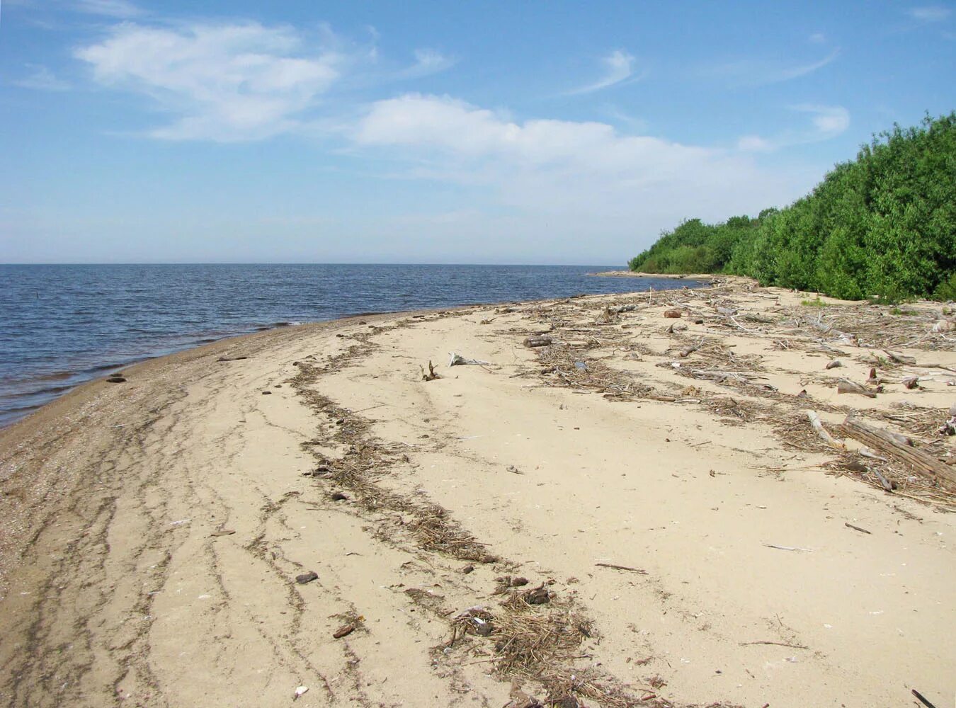 Рыбинские пляжи. Рыбинск Рыбинское море. Рыбинское водохранилище Каменники. Рыбинское водохранилище Рыбинск. Ларионовский мыс Рыбинское водохранилище.