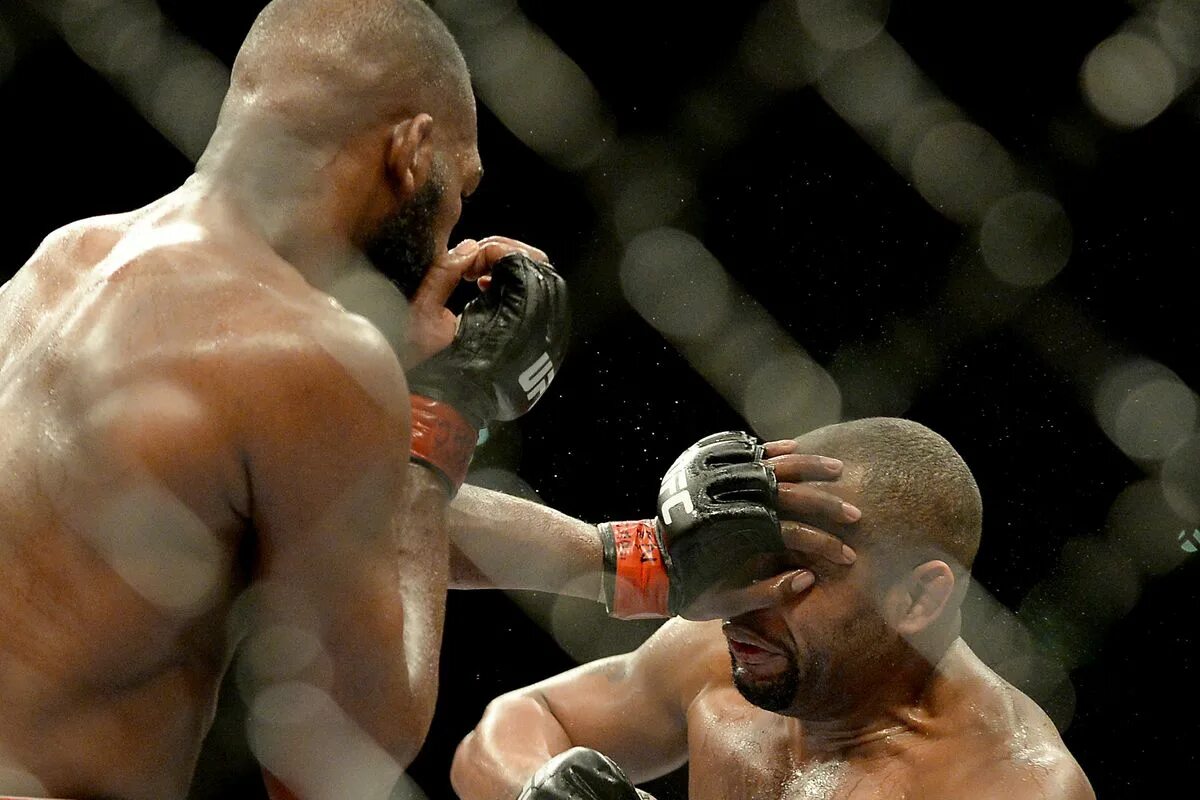 союз смешанных единоборств. союз смешанных боевых единоборств «мма» россии. гоков александр александрович мма. союз мма соревнования. мма союз мма россии.