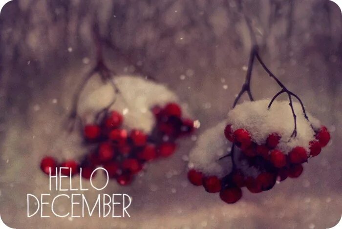 хорошего зимнего. цитаты про декабрь и новый год. декабрь будь самым лучшим. чудеса случаются новый год. декабрь будь самым лучшим.