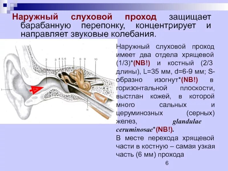 Давление на барабанную перепонку в ухе