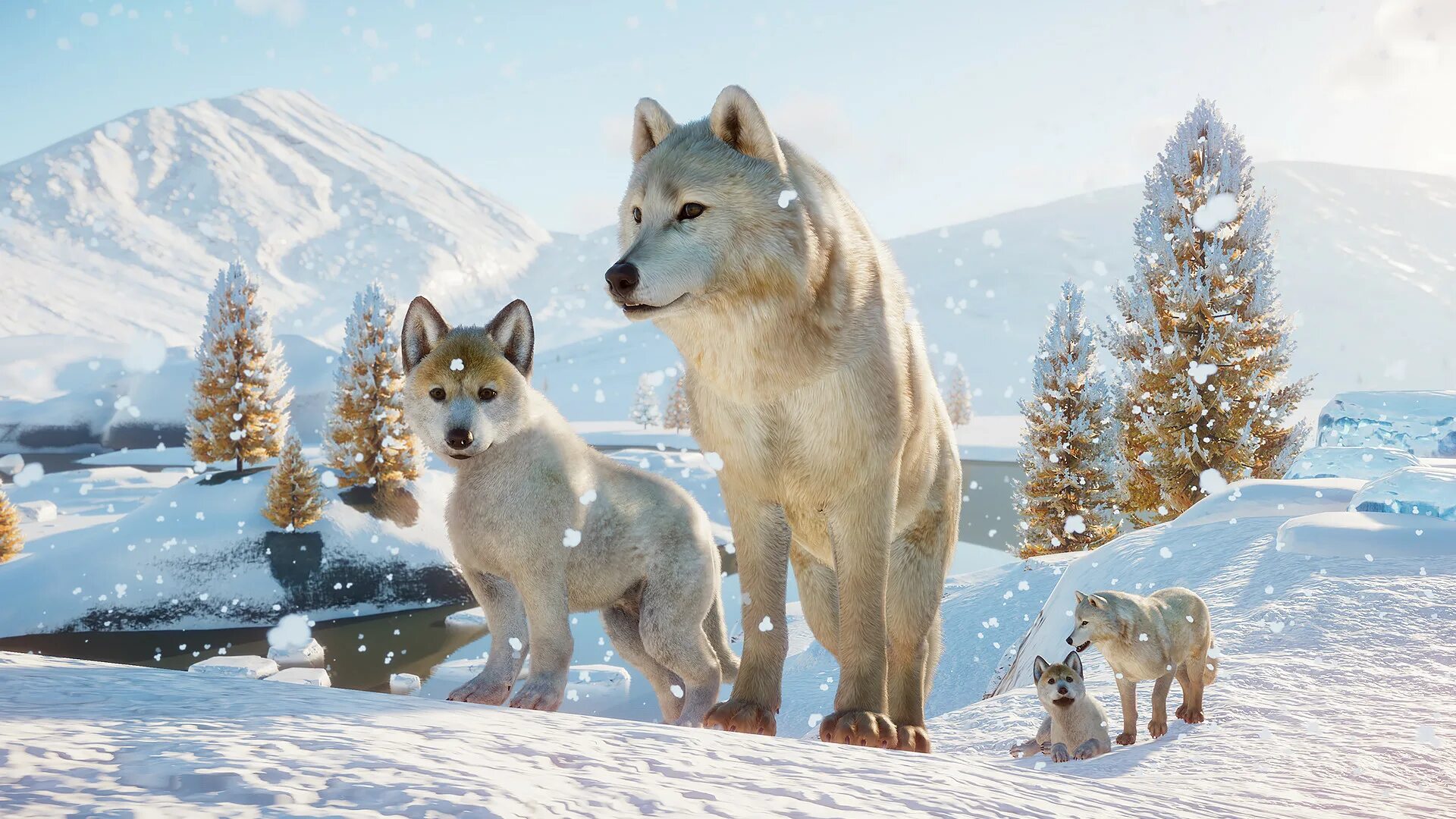 Планета животных игры. Planet Zoo: Arctic Pack. Planet Zoo животные. Островной волк Мелвильский ареал. Planet Zoo 2019.