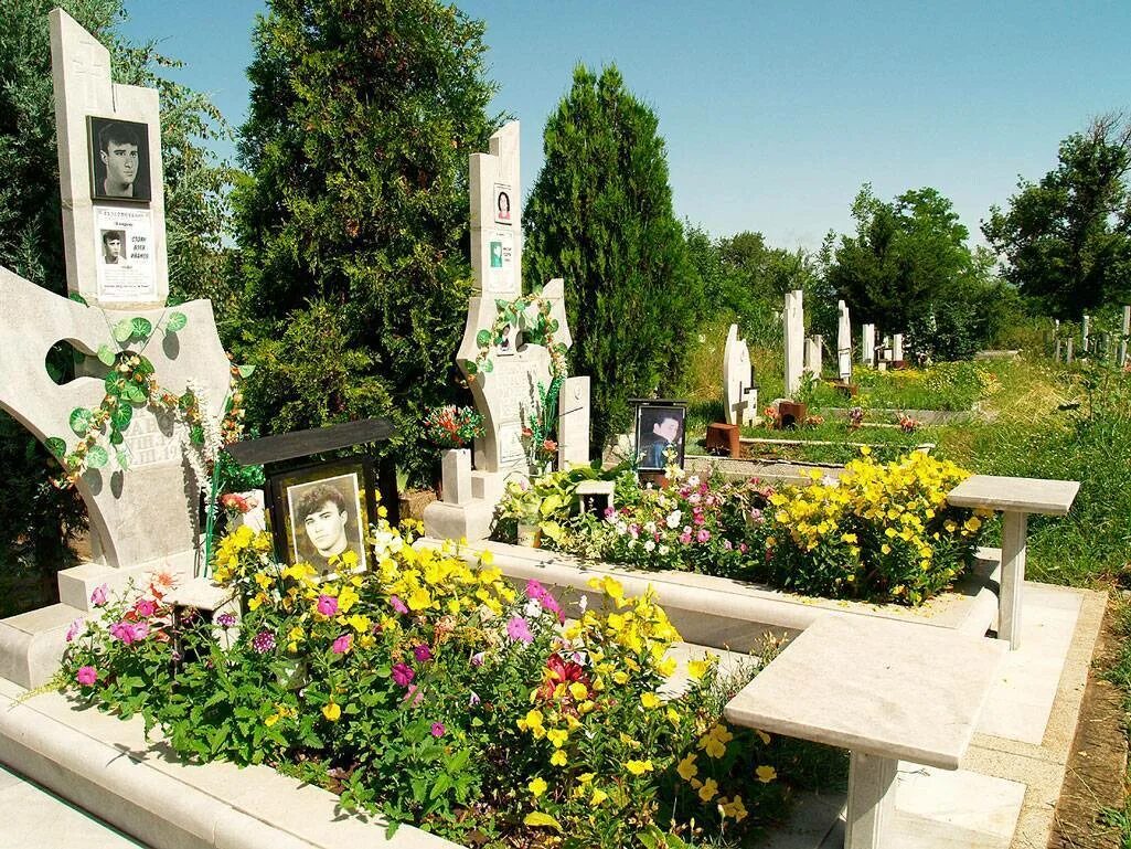 Цветы на кладбище. Растения на могилу. Цветы на кладбище многолетние. Цветы на могилу. Какое дерево посадить на кладбище