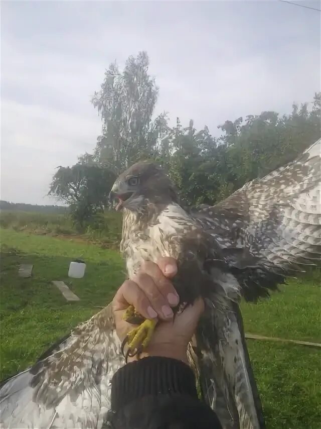 Трудовая армения краснодарский край самолет. Село Трудовая Армения.