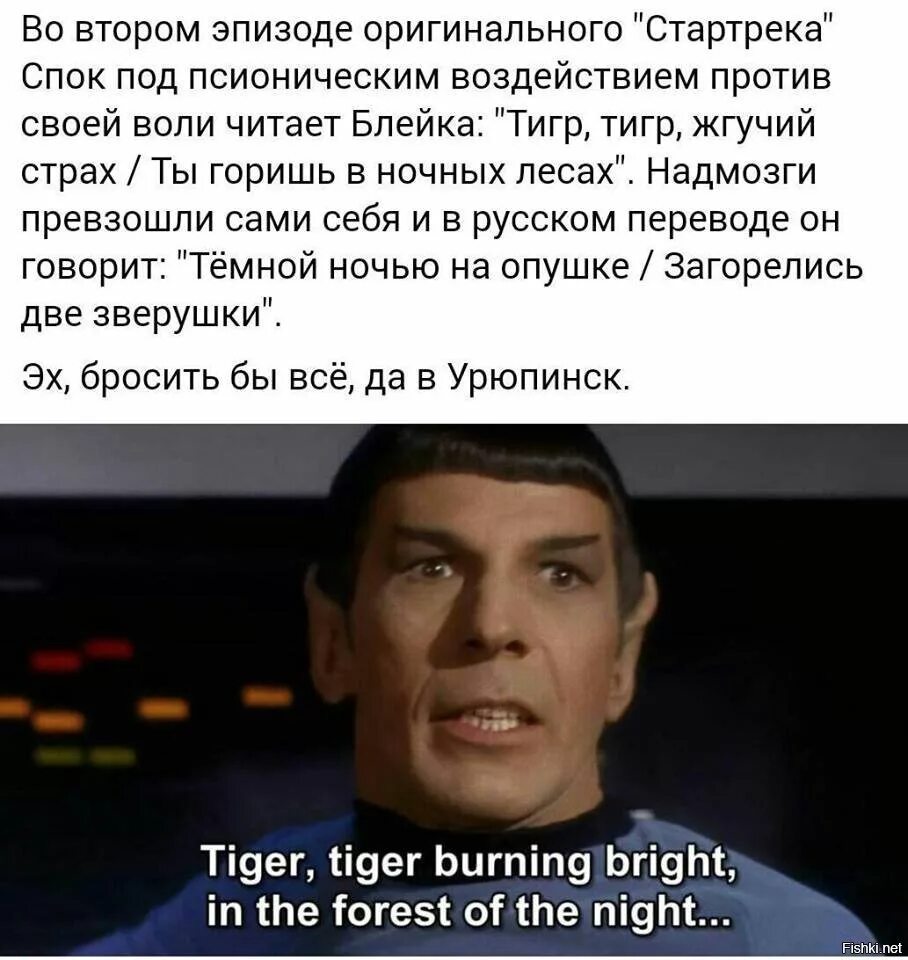 Уильям Блейк тигр тигр жгучий страх. Тигр тигр жгучий страх ты горишь в ночных лесах. Стихотворение тигр тигр жгучий страх. Тигр тигр жгучий страх Менталист. Тигр тигр жгучий страх ты