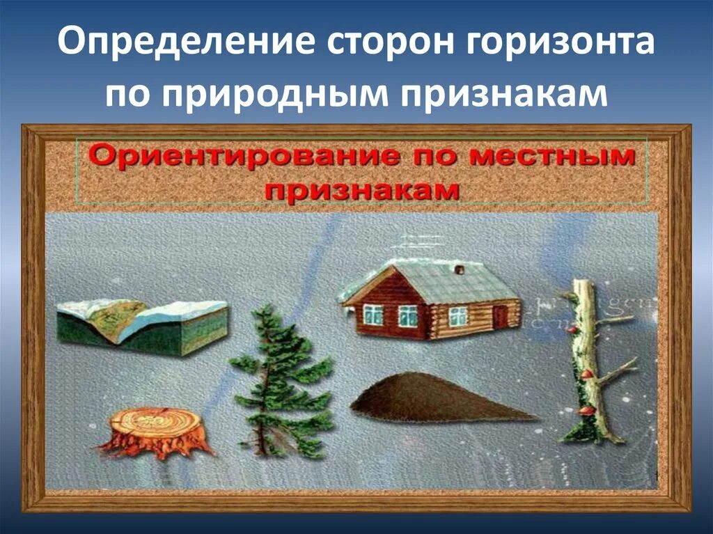 Стороны горизонта по природным признакам. Сторонв Горизонт по природным признакаи. Определение сторон горизонта по признакам. Как определить стороны горизонта по природным признакам.