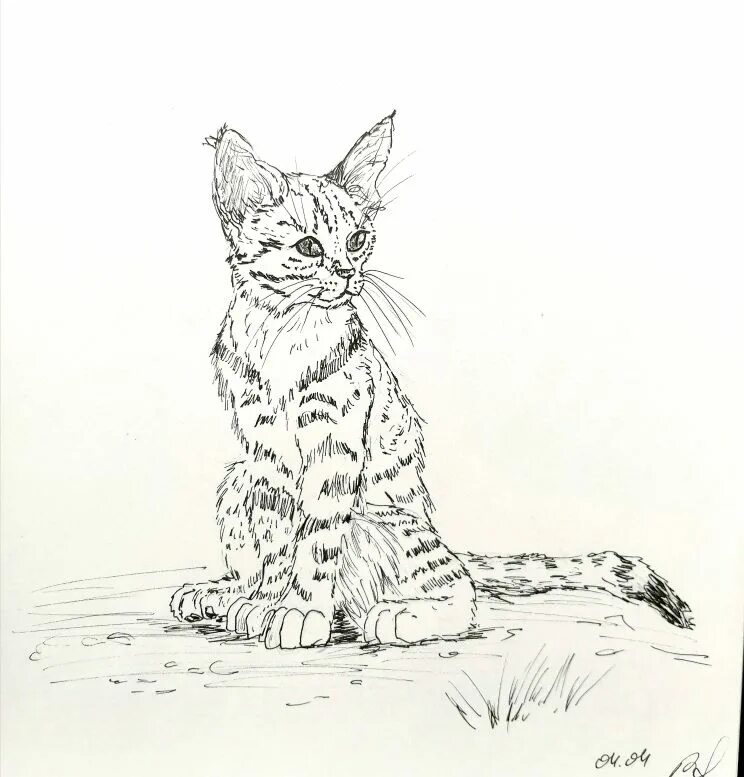 Нарисовать хотя бы. Рисунки котов в полный рост профессиональные. Рисунок кот растет. Кошка на даче рисунок карандашом. Мангул кот рисунок.