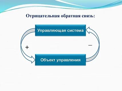 Механизмы положительной обратной связи