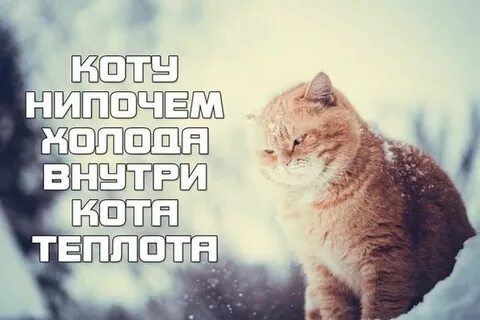 Нипочем