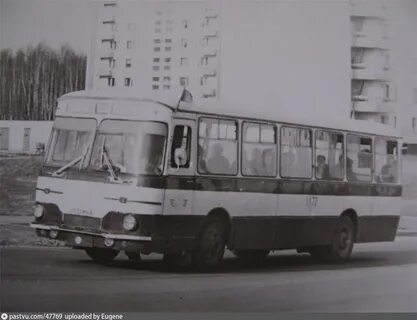 Автобус 5 арзамас