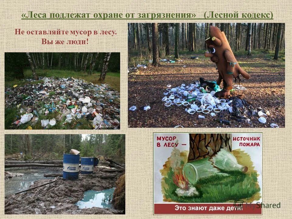 рубка леса какое загрязнение. человек загрязняет природу. загрязнение природы мусором. проблема загрязнения лесов в россии. защита лесов от химических загрязнений.