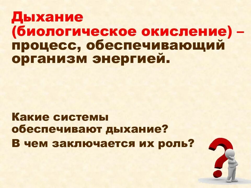 Какое значение имеет процесс дыхания. Процесс обеспечивающий организм энергией.