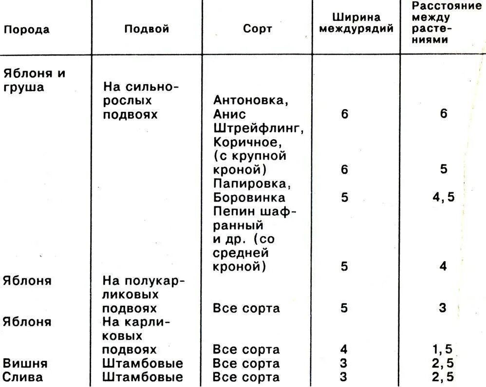 На каком расстоянии нужно сажать деревья. Расстояние между саженцами плодовых деревьев при посадке таблица. Не каком расстоянии садить плодовые деревья. Расстояние между деревьями при посадке сада плодовыми. Расстояние посадки плодовых деревьев.