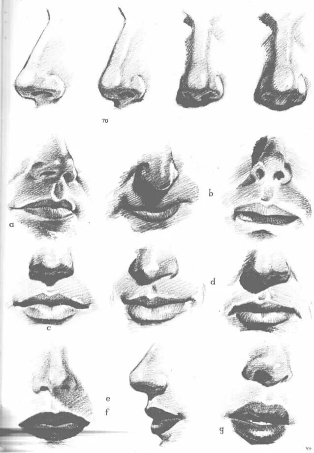 Нос снизу. Нос снизу референс реализм. Рисование носа. Нос эскиз. Зарисовки носа.