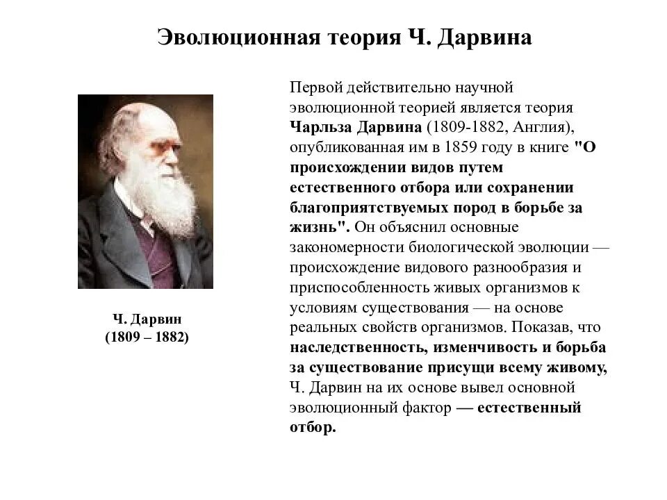 Ученые теория дарвина. Эволюционная теория Чарльза Дарвина. Теория революции Чарльза Дарвина. Теория эволюции ч. Дарвина (1809-1882)..