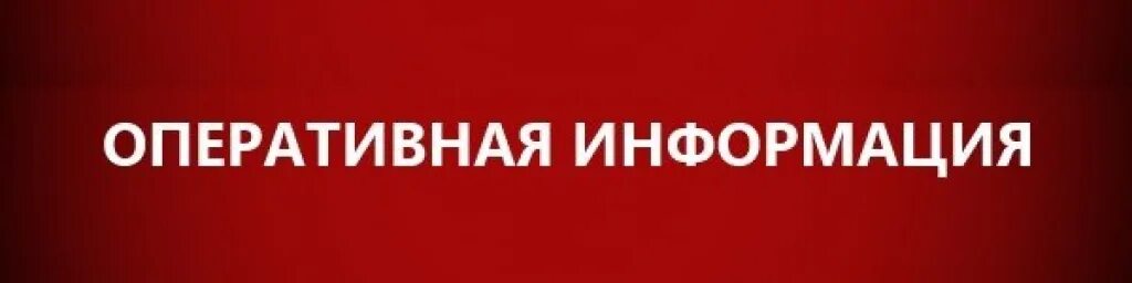 Оперативная информация о состоянии. Оперативная информация. Надпись Оперативная информация. Оперативная информация картинки. Информация надпись.