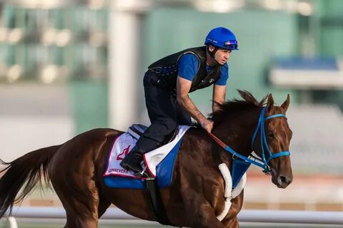 Dubai world cup