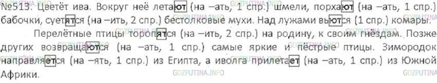 Цветет ива вокруг нее летают шмели. Русский язык 6 класс 2 часть номер 513. Русский язык 6 класс упражнение 513. Русский язык 6 класс ладыженская 513.