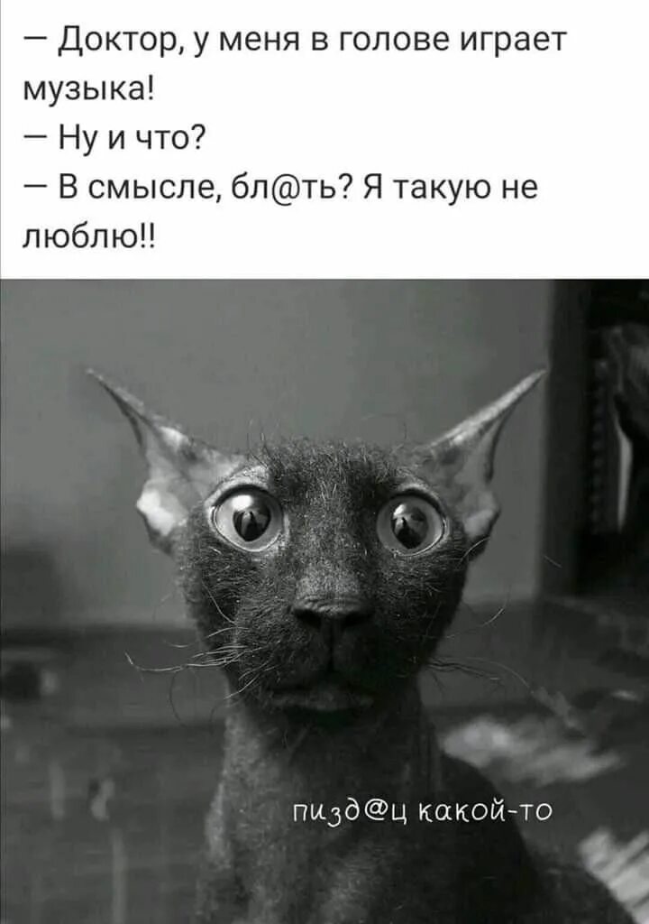 Нет я такое не играю. Нет я такое не играю