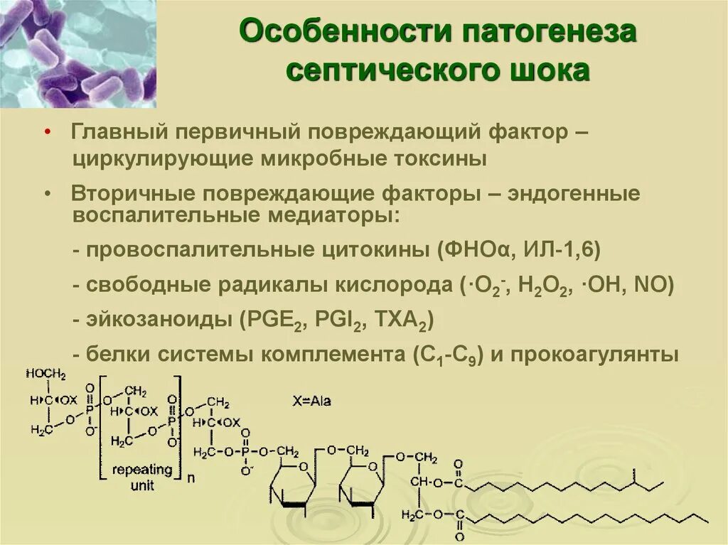 Патогенез септического шока. Механизм развития септического шока. Медиаторы септического шока. Септический ШОК патогенез. Факторы развития септического шока.