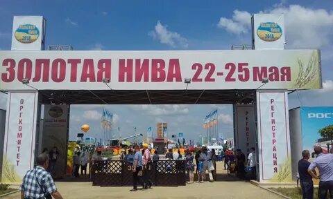 Золотая нива маршрут