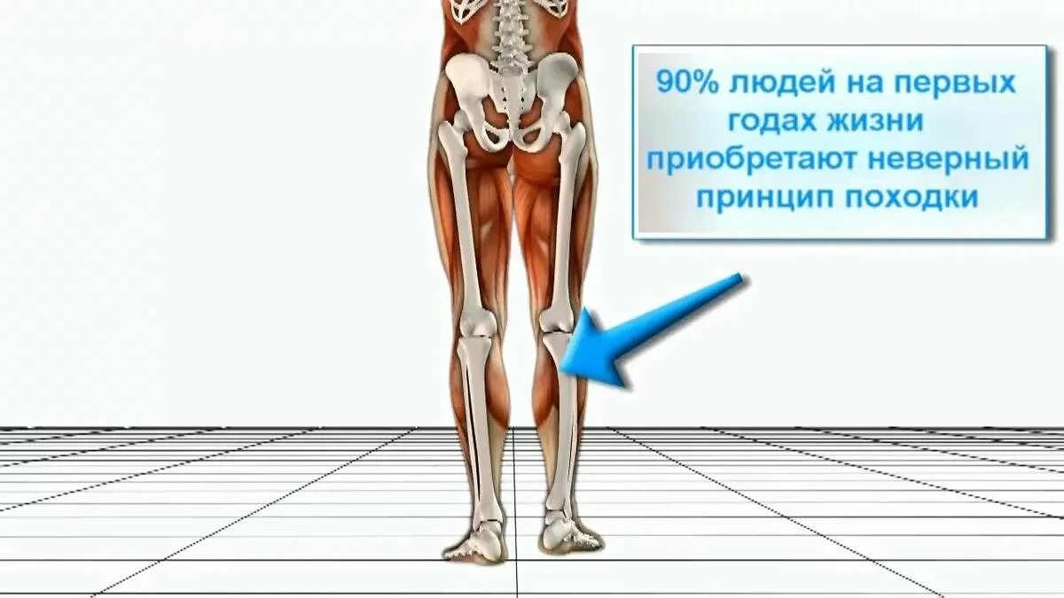 Почему не двигается нога. Биомеханика ходьбы человека. Биомеханика движений ног. Биомеханика стопы при ходьбе человека. Правильная биомеханика ходьбы.