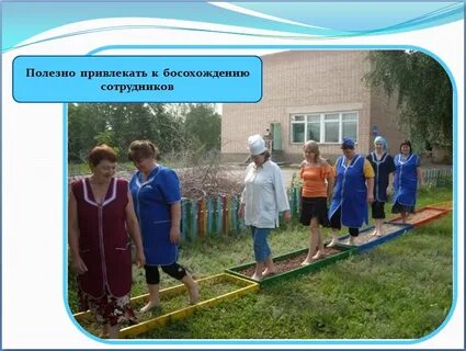 Физкультурно оздоровительная среда