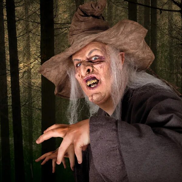 лесная ведьма страшная. как вызвать ведьму. анна чурикова баба яга. баба яга блоггер. слова бабы яги.