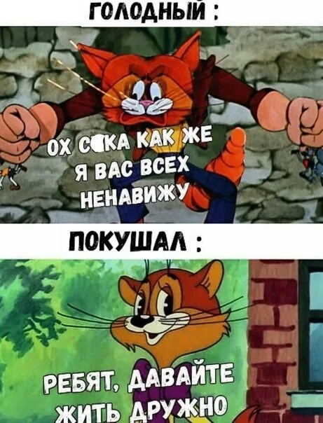 Мем давайте жить дружно Жить дружно это