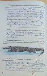 Биология 7 класс страница 39 выполните задание