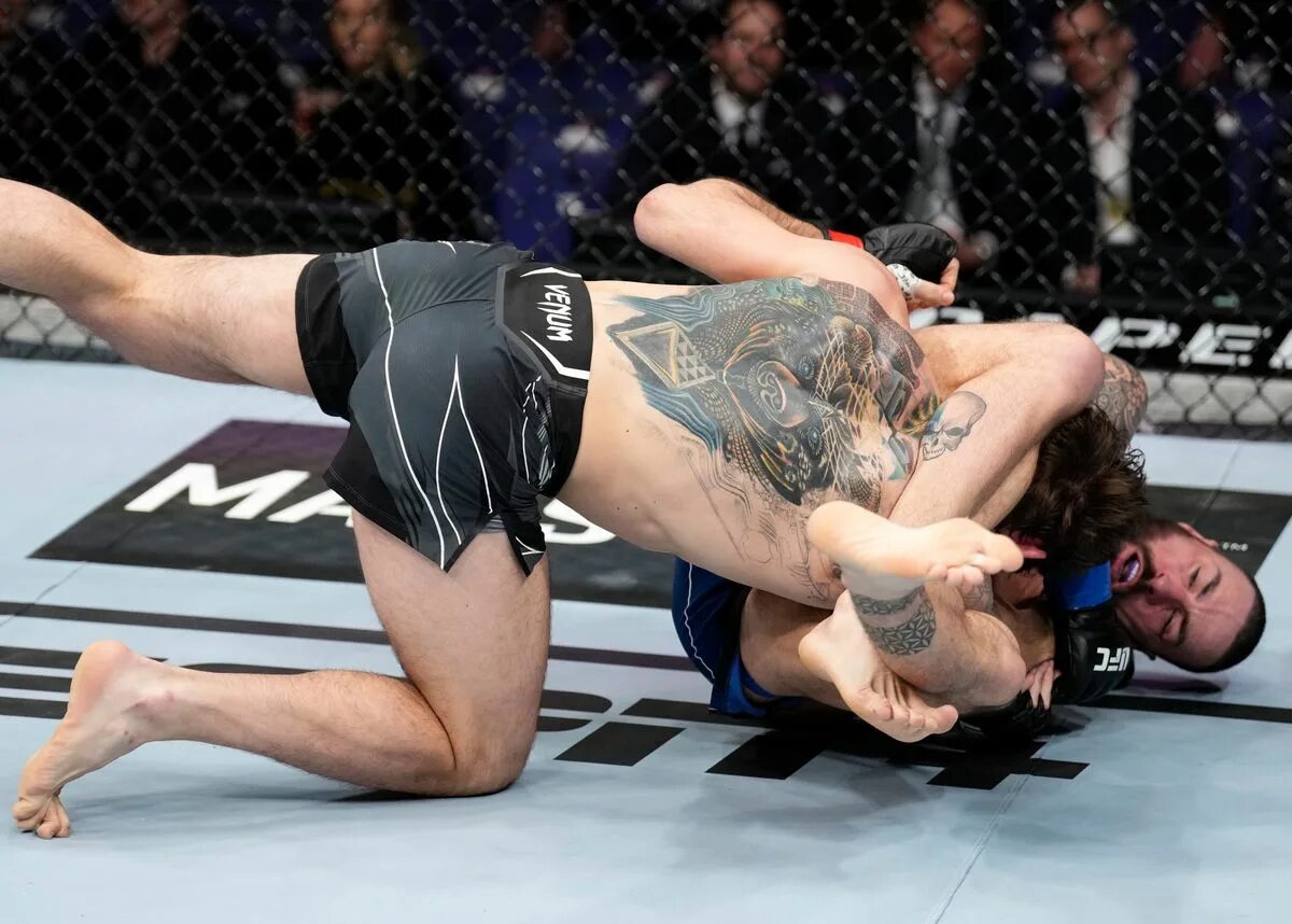 Ufc кода