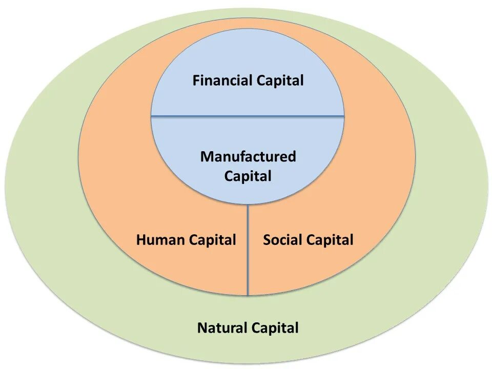 Модель 5 п. Модель 5p. Модель пяти капиталов. Five Capital LLP. Multiverse Capital MVC.