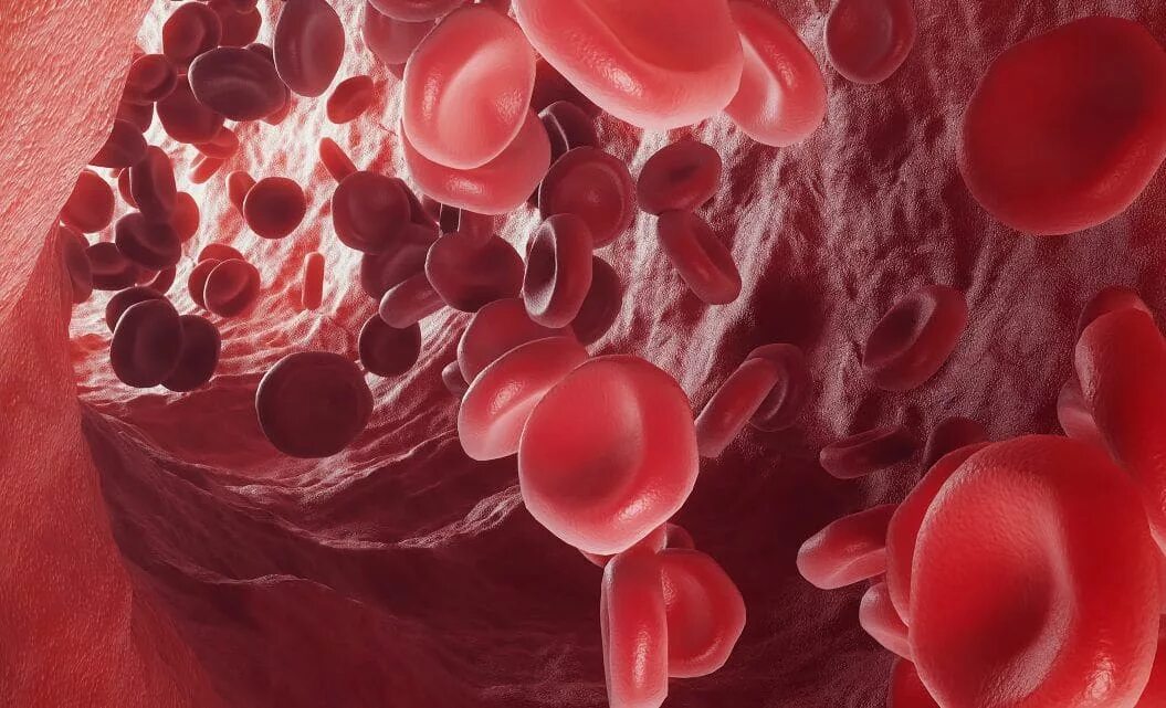 Молекула крови. Клетки крови. Железо в кровеносной системе. Овальные эритроциты. Железо в кровеносной системе.