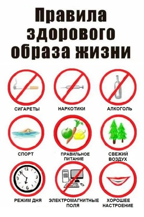 Презентация "Здоровый образ жизни" (7 класс) по обж - скачать проект