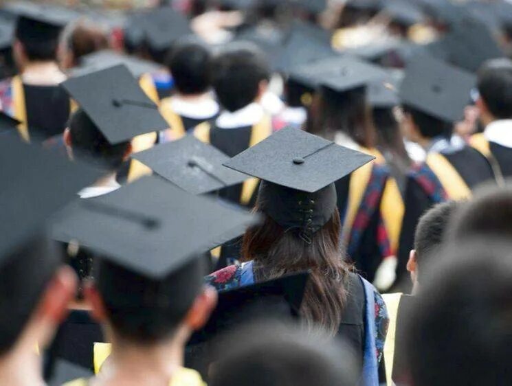 Бакалавр 2013. Магистратура и phd. специалист и магистратура. магистр. бакалавр магистр аспирант.