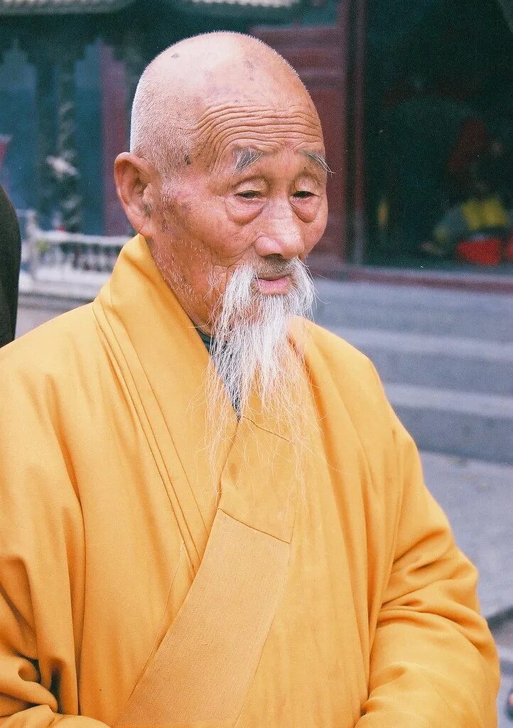 Дзен учитель вонг. Стихи про фантазию с автором. Будда ламаизм. История люди дзен. Буддийский монах и будда.